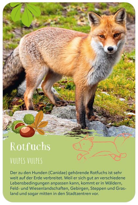 moses Verlag Tiere der Welt
