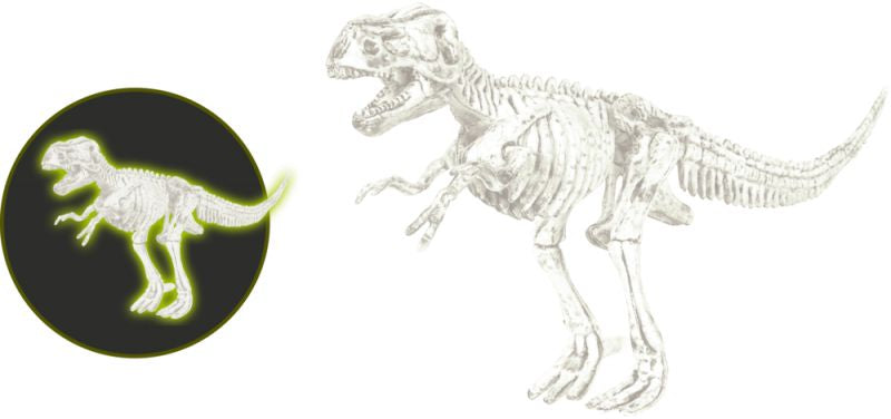 Die Spiegelburg Ausgrabungsset Tyrannosaurus Rex