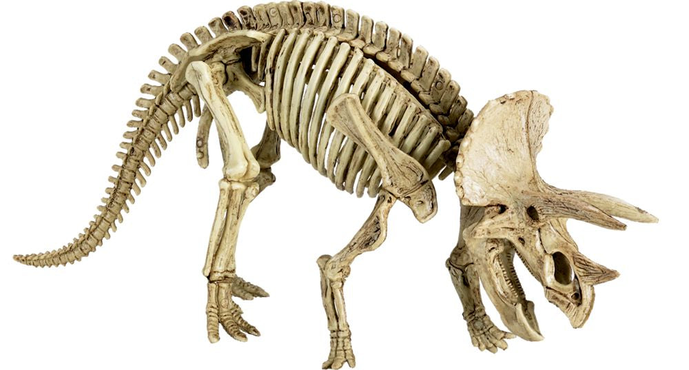 Die Spiegelburg Ausgrabungsset Triceratops