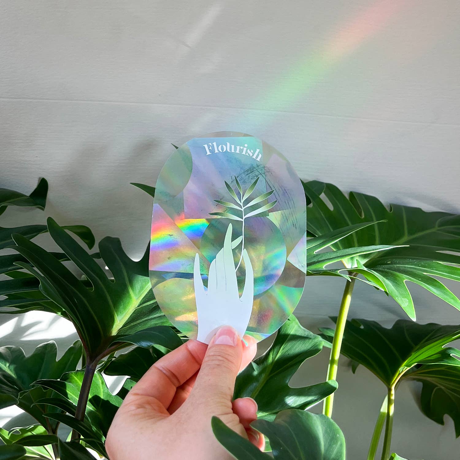 botanopia Regenbogen Aufkleber - florieren