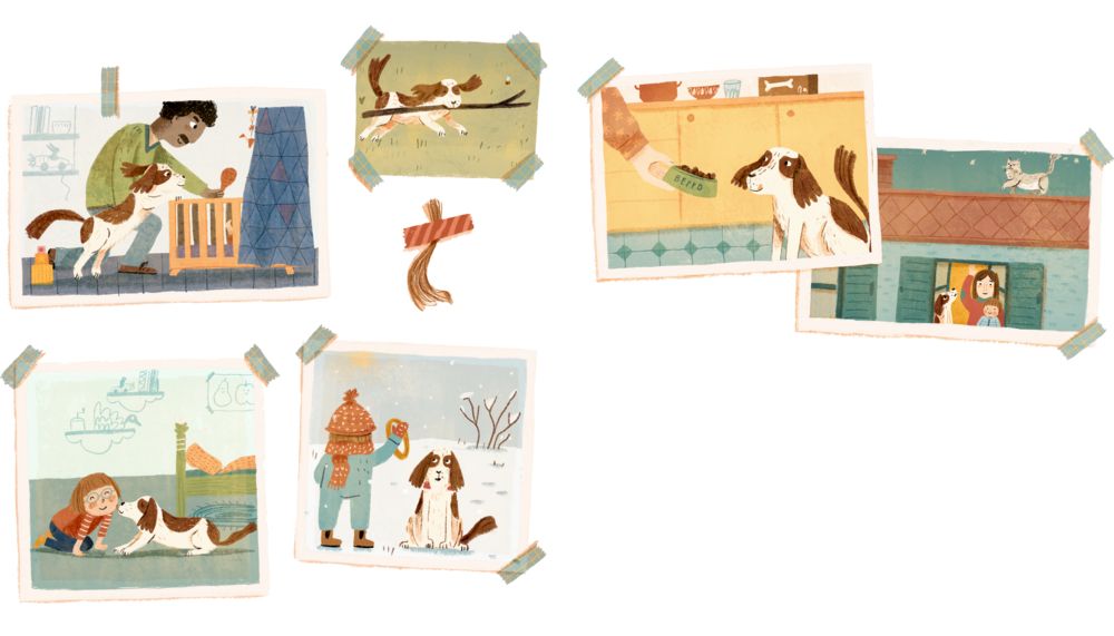 Coppenrath Beppo wird alt