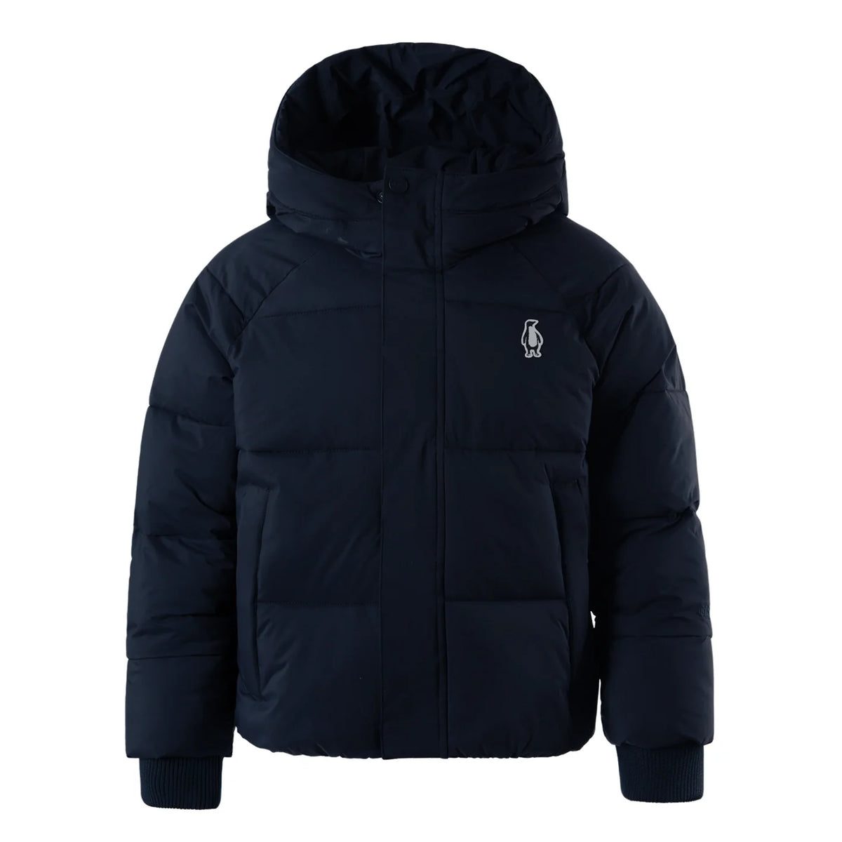 Gosoaky Winterjacke Flashy Dragon Blau