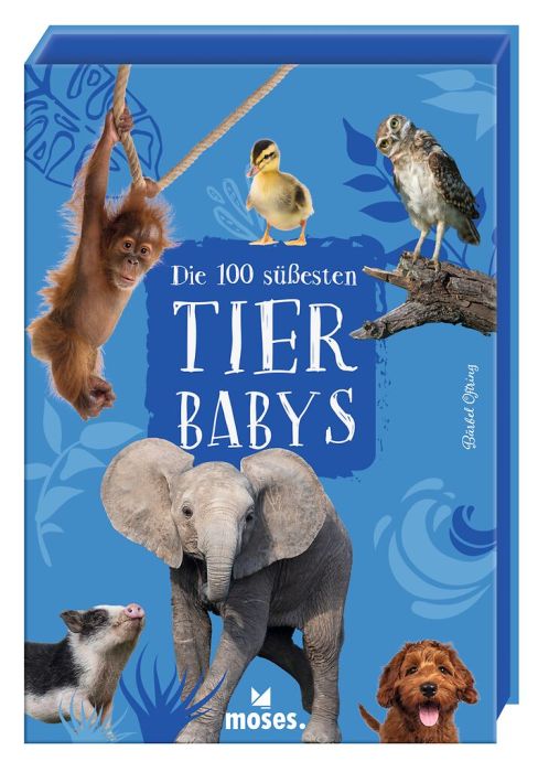 moses Die 100 süßesten Tierbabys