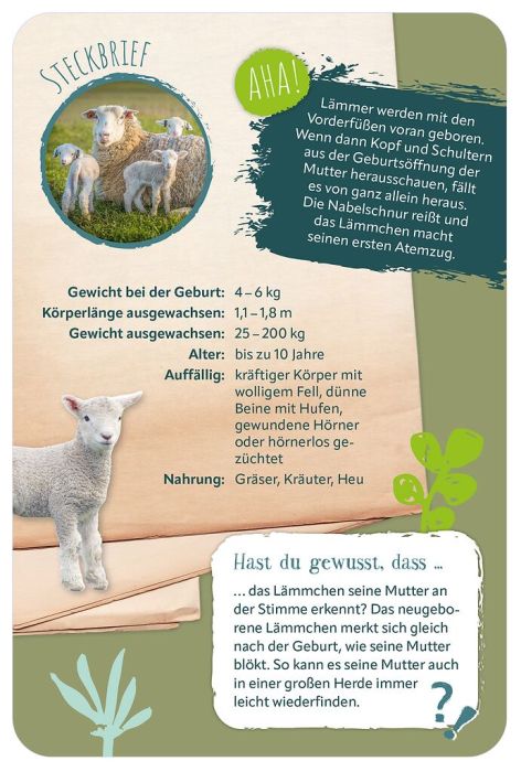 moses Die 100 süßesten Tierbabys