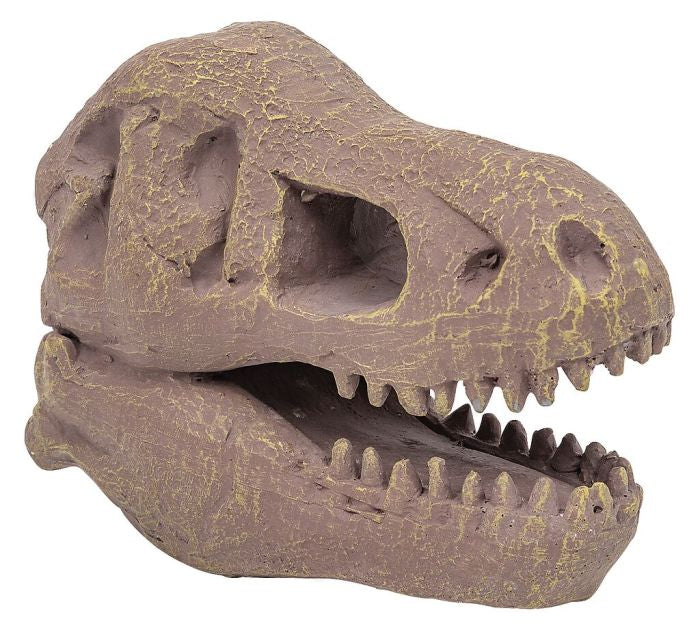 moses Ausgrabungsset T-Rex