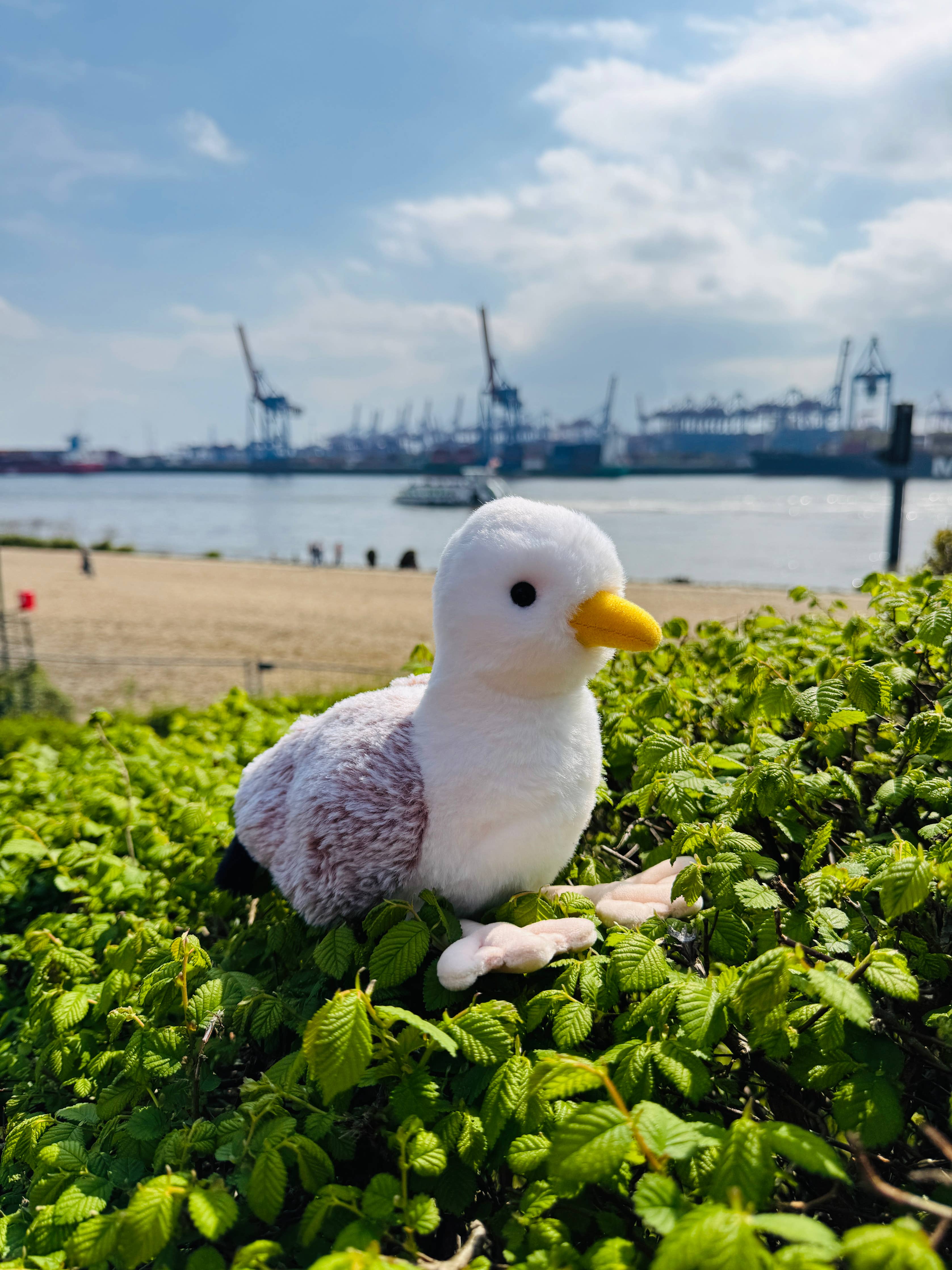 Möwe 20 cm - Plüschtier - Stofftier