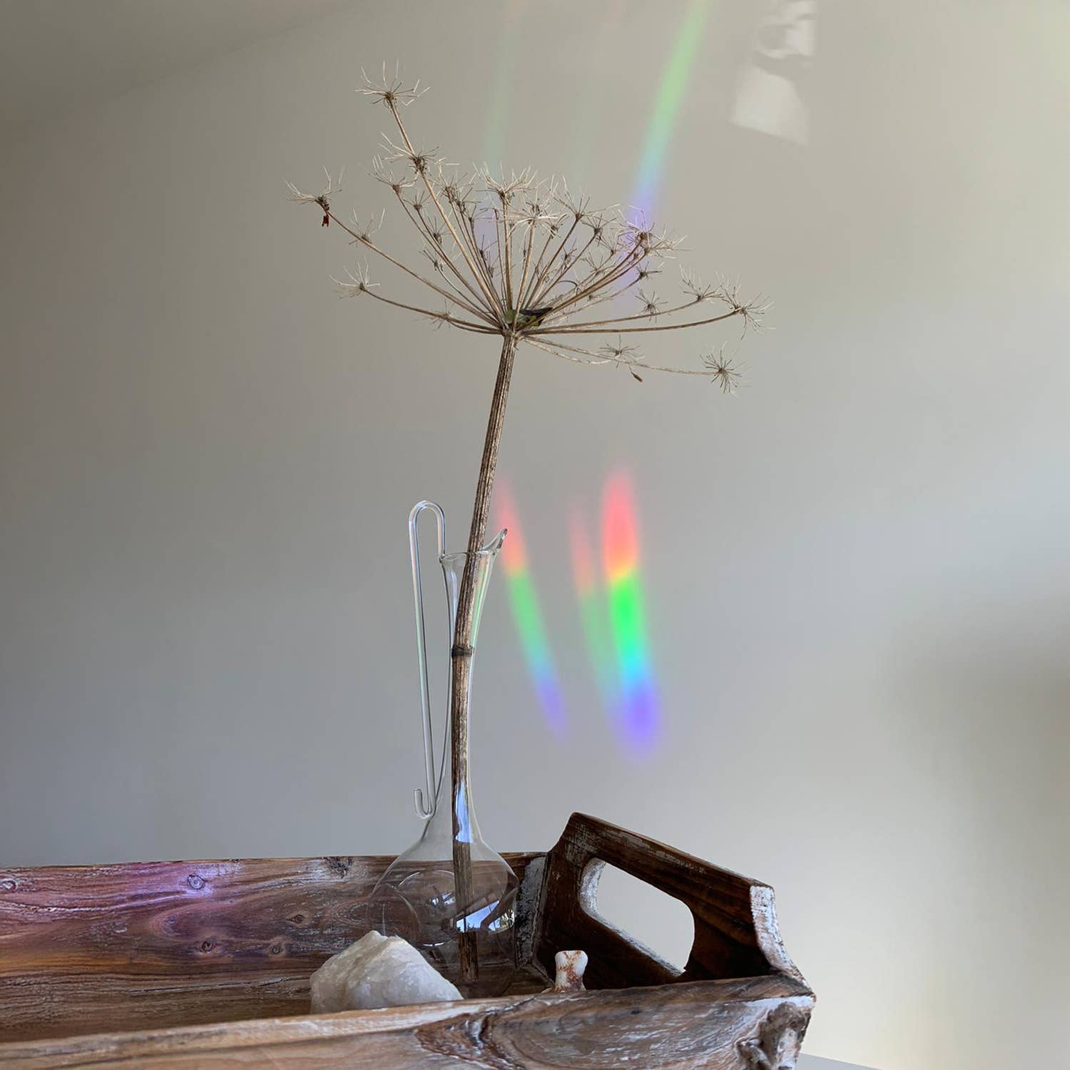 botanopia Regenbogen Aufkleber - Entschleunigen und genießen