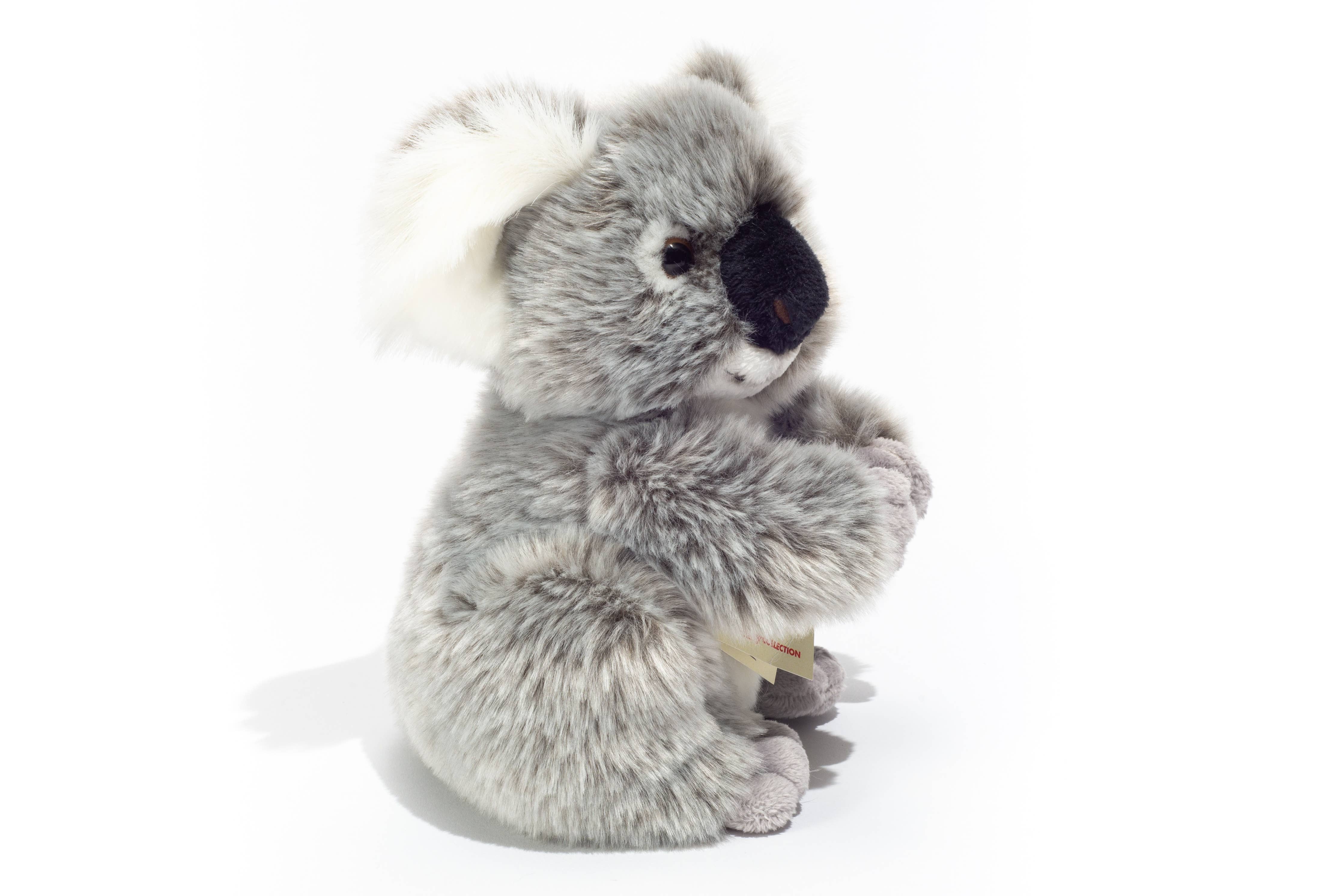 Koala 21 cm - Plüschtier - Stofftier