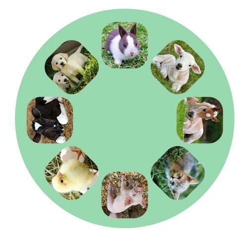 moses Kleine Diashow Tierbabys