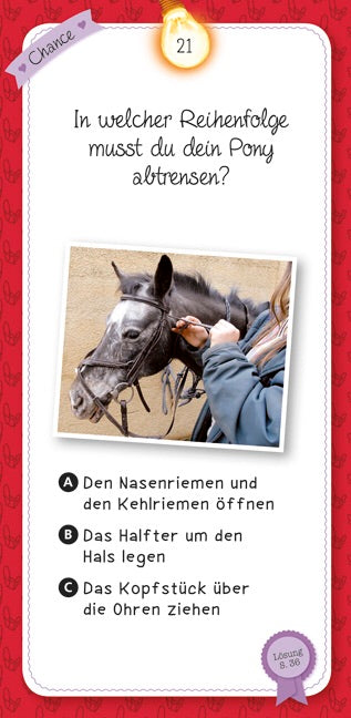 Moses Quiz Pferde und Ponys
