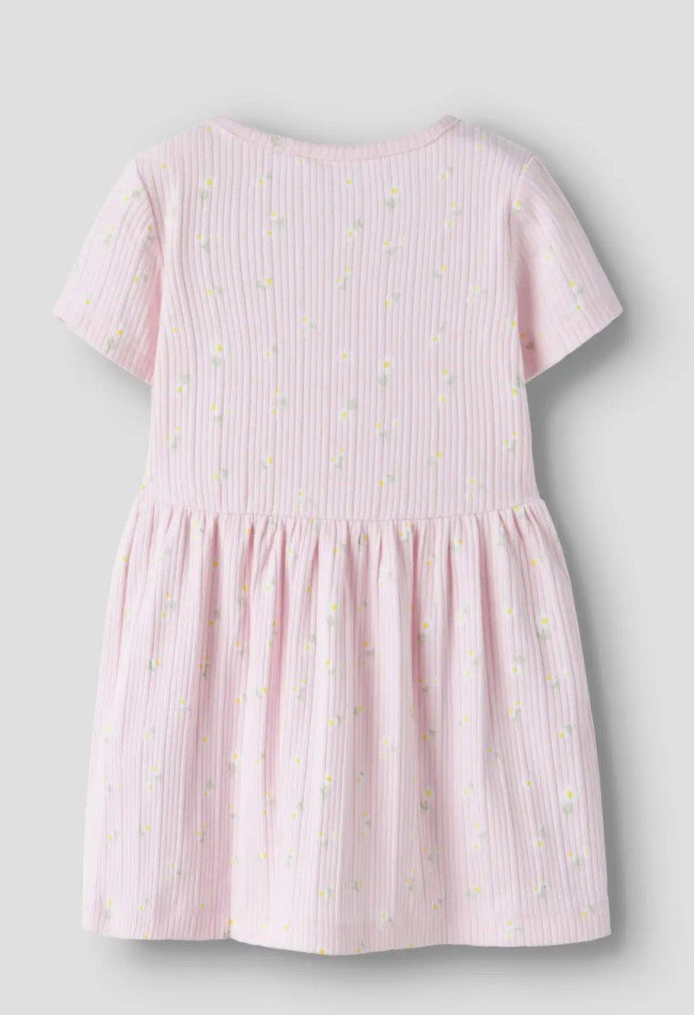name it Kleid mit Gänseblümchen (nmfjelly)