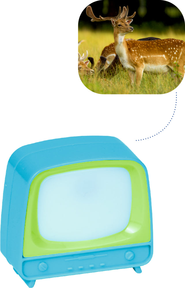 Die Spiegelburg Klick-Fernseher