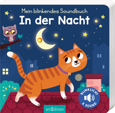 arsEdition Mein blinkendes Soundbuch - In der Nacht