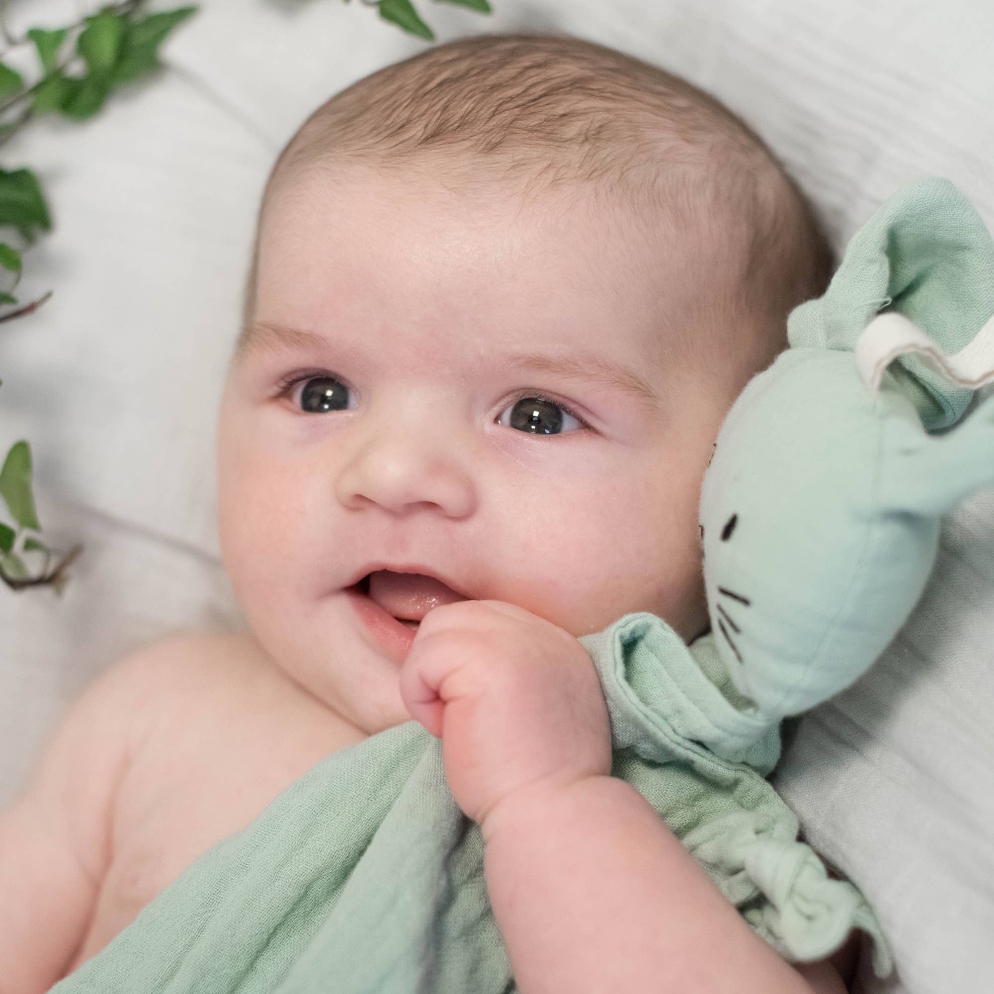 Bio-Kuschelhase Cameo Green