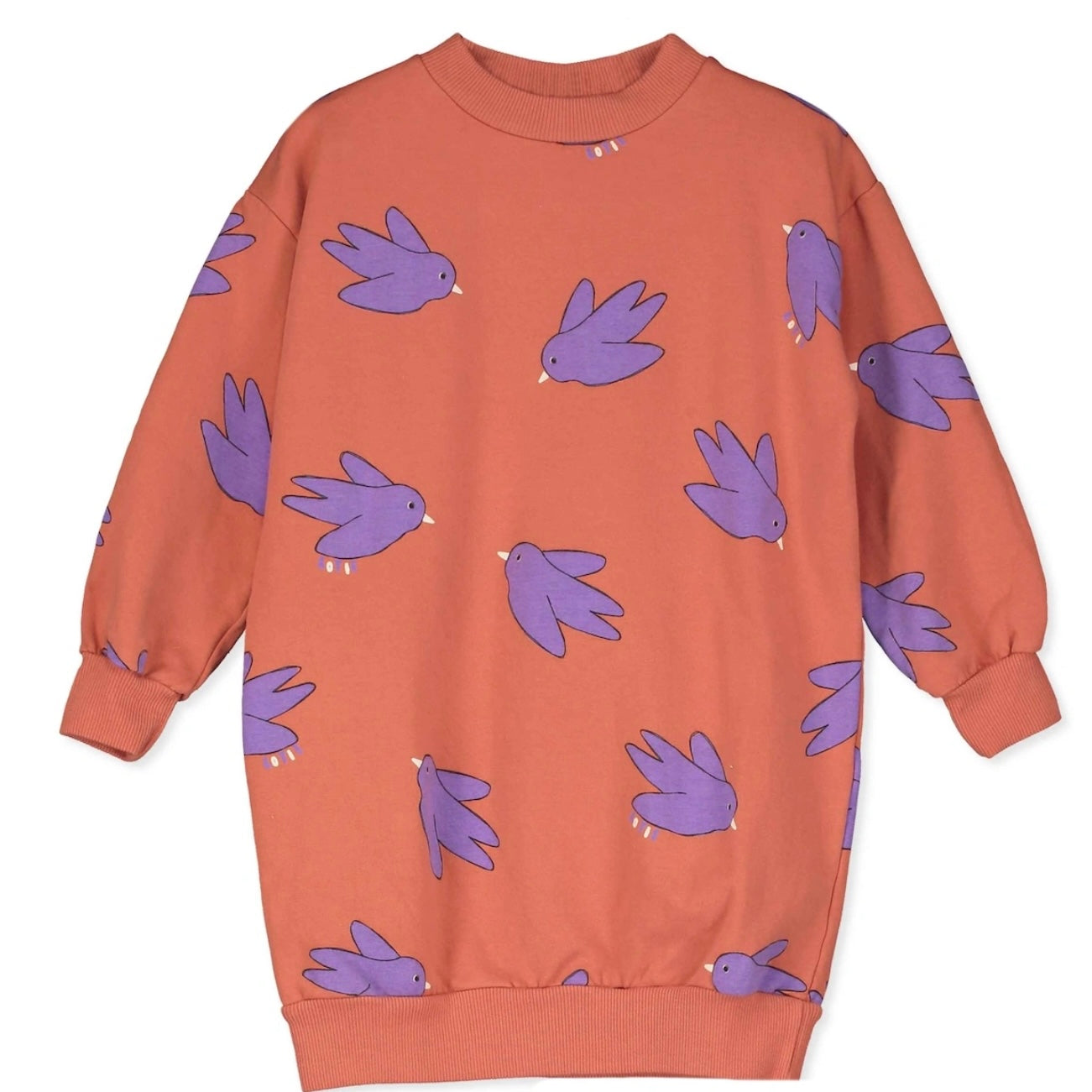 lötiekids Long Sweatdress Flowing Birds Clay