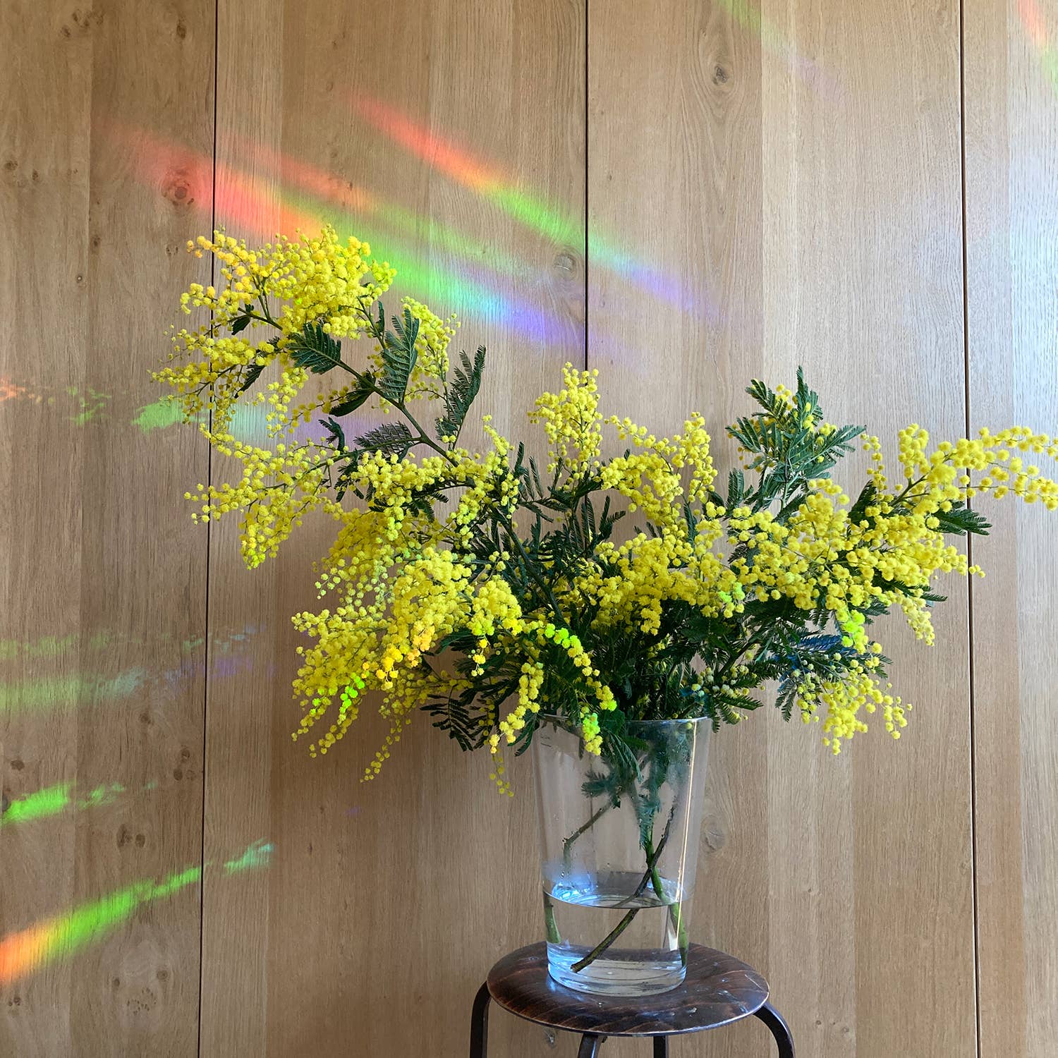 botanopia Regenbogen Aufkleber - Entschleunigen und genießen