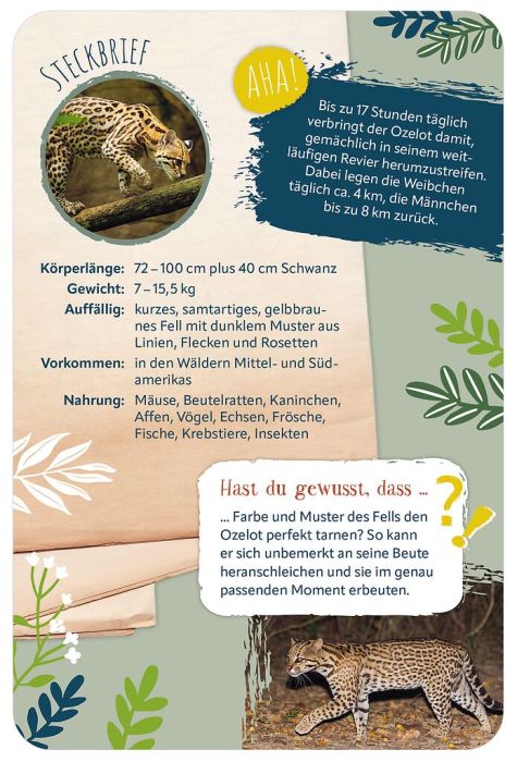 moses Verlag Tiere der Welt