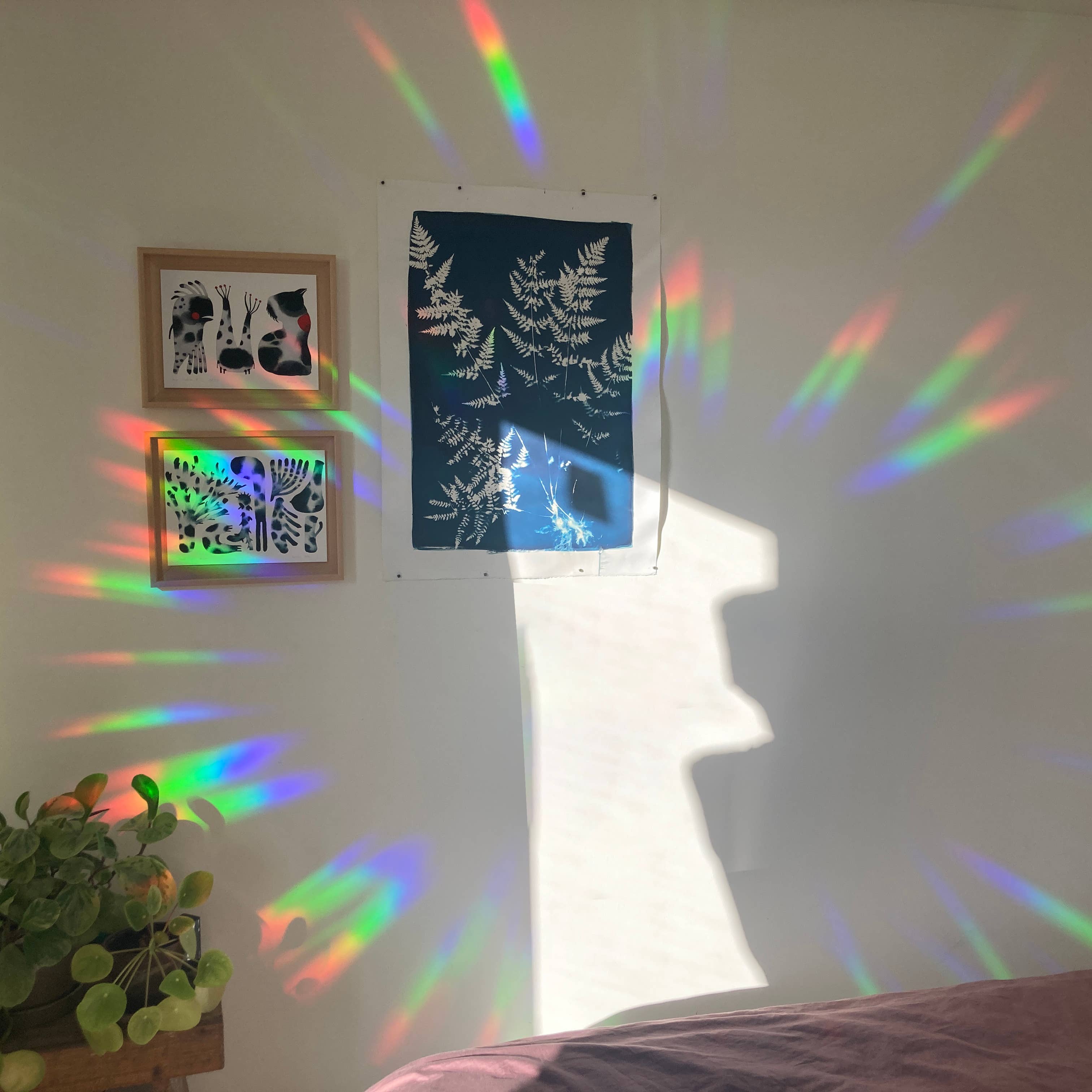 botanopia Regenbogen Aufkleber - florieren