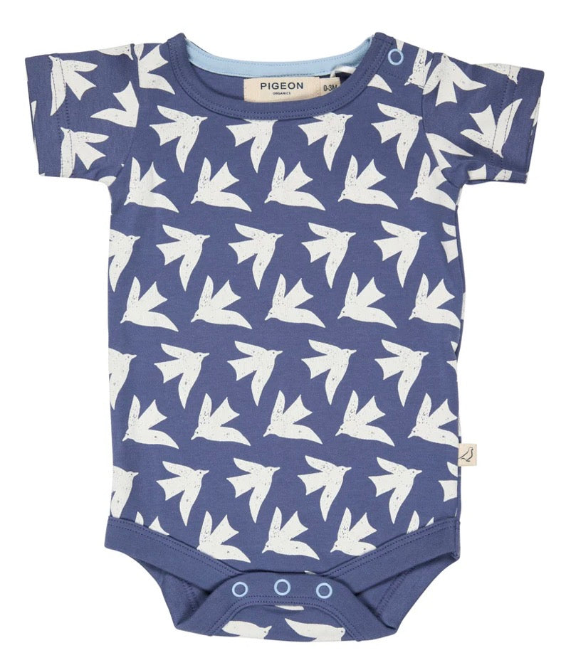 Pigeon Body Seagulls