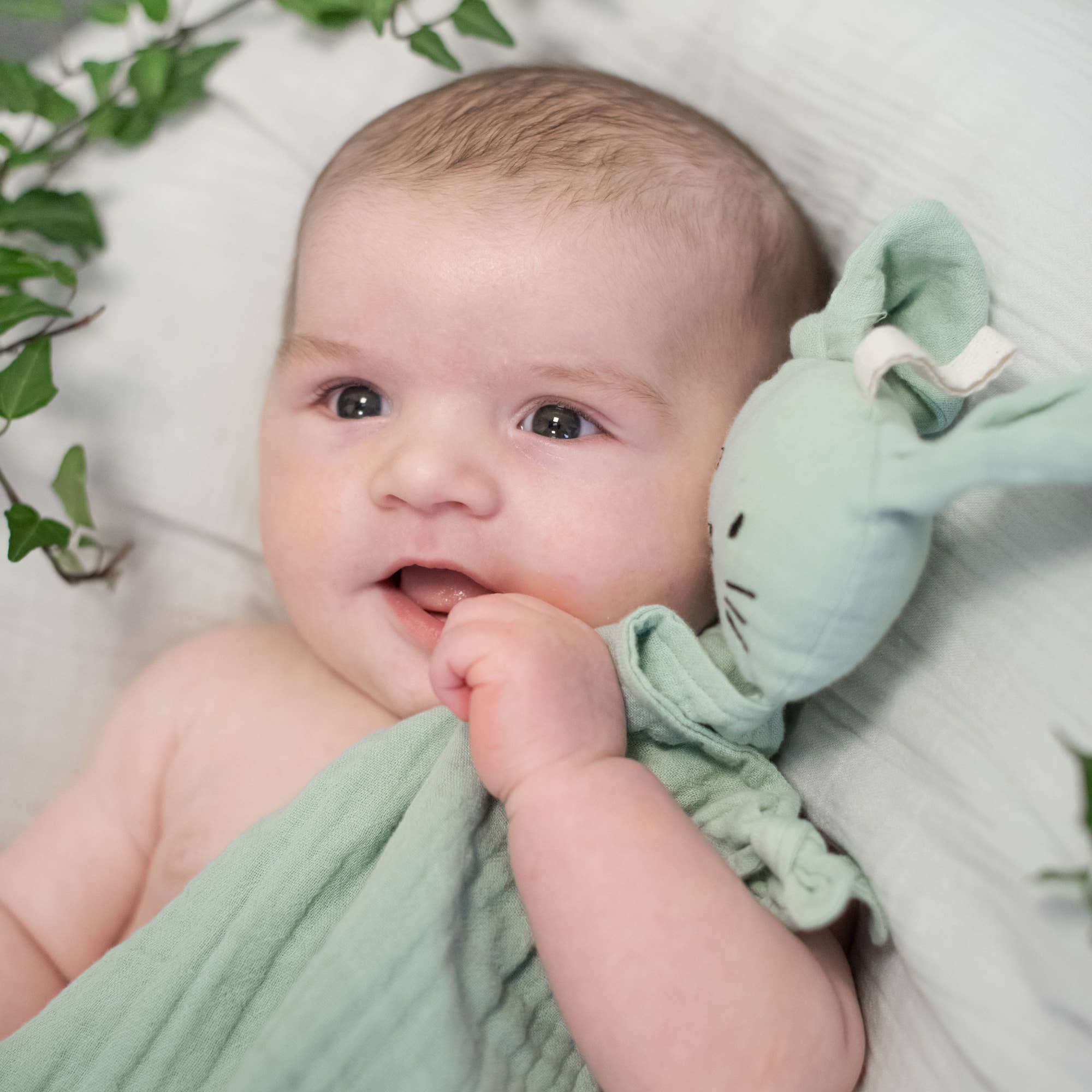 Bio-Kuschelhase Cameo Green