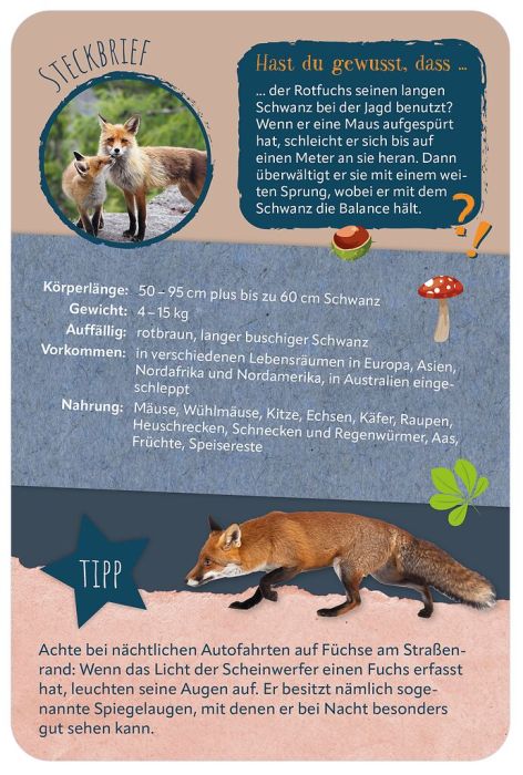 moses Verlag Tiere der Welt