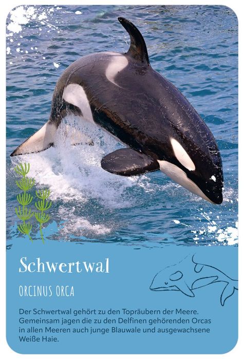moses Verlag Tiere der Welt