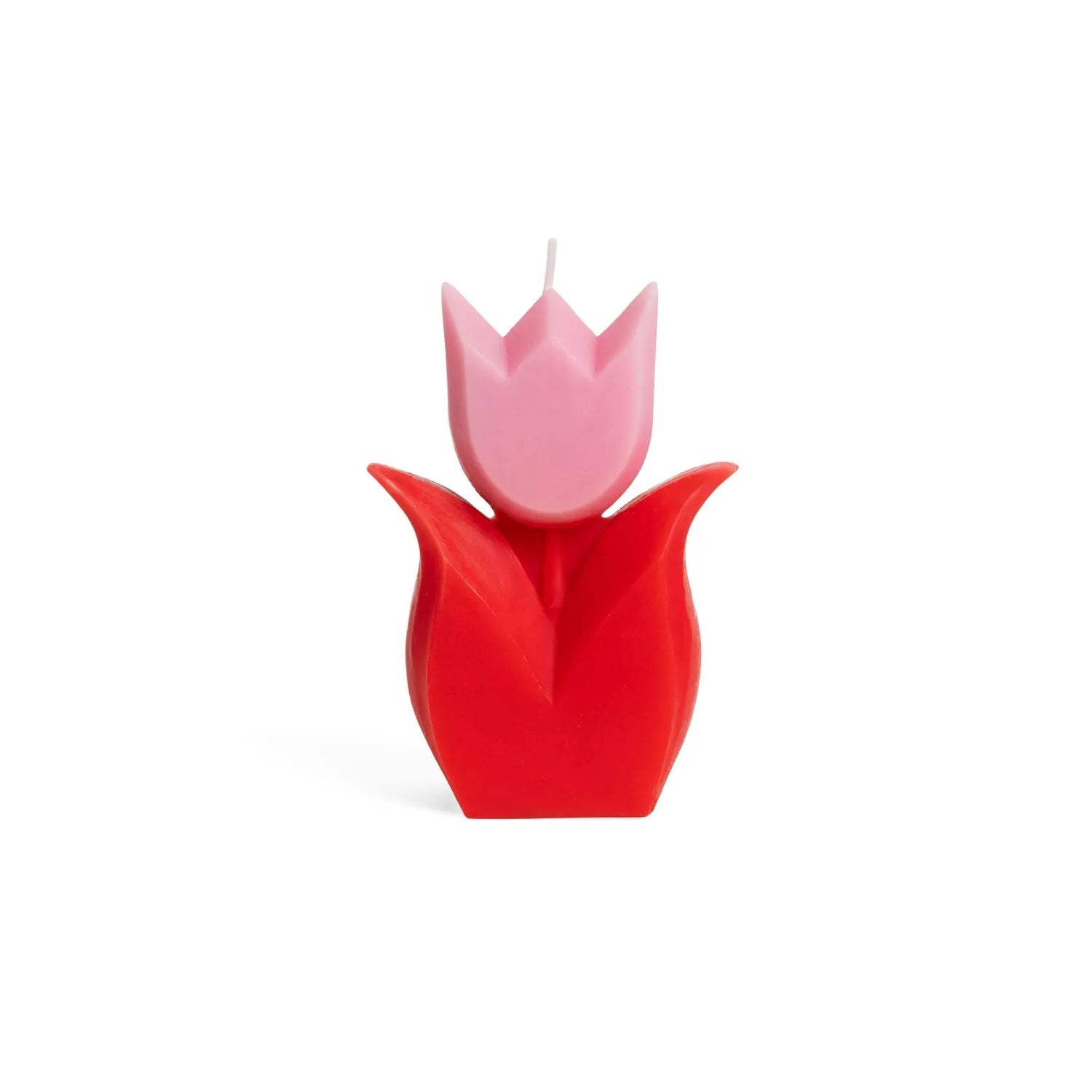Helio Feretti Kerze Tulpe