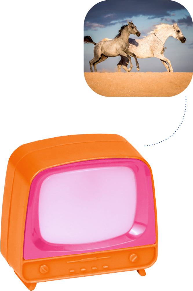 Die Spiegelburg Klick-Fernseher