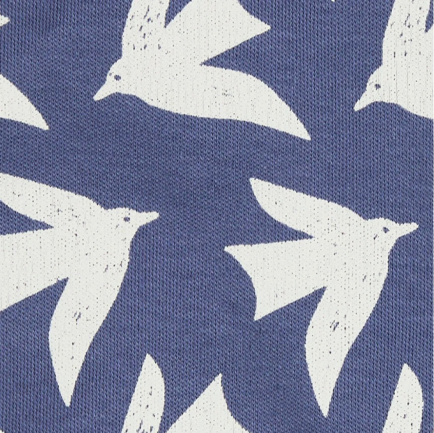 Pigeon Body Seagulls