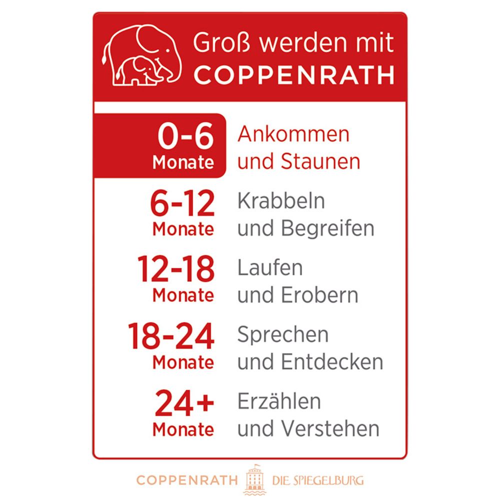 Coppenrath Baby Kontrast-Zauberbuch