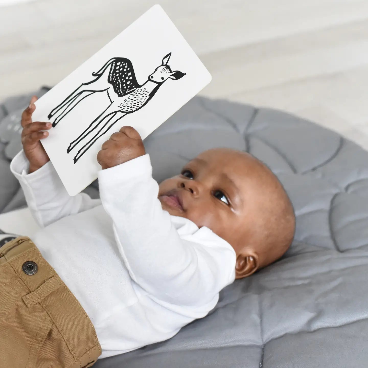 wee gallery Art Cards Baby Animals