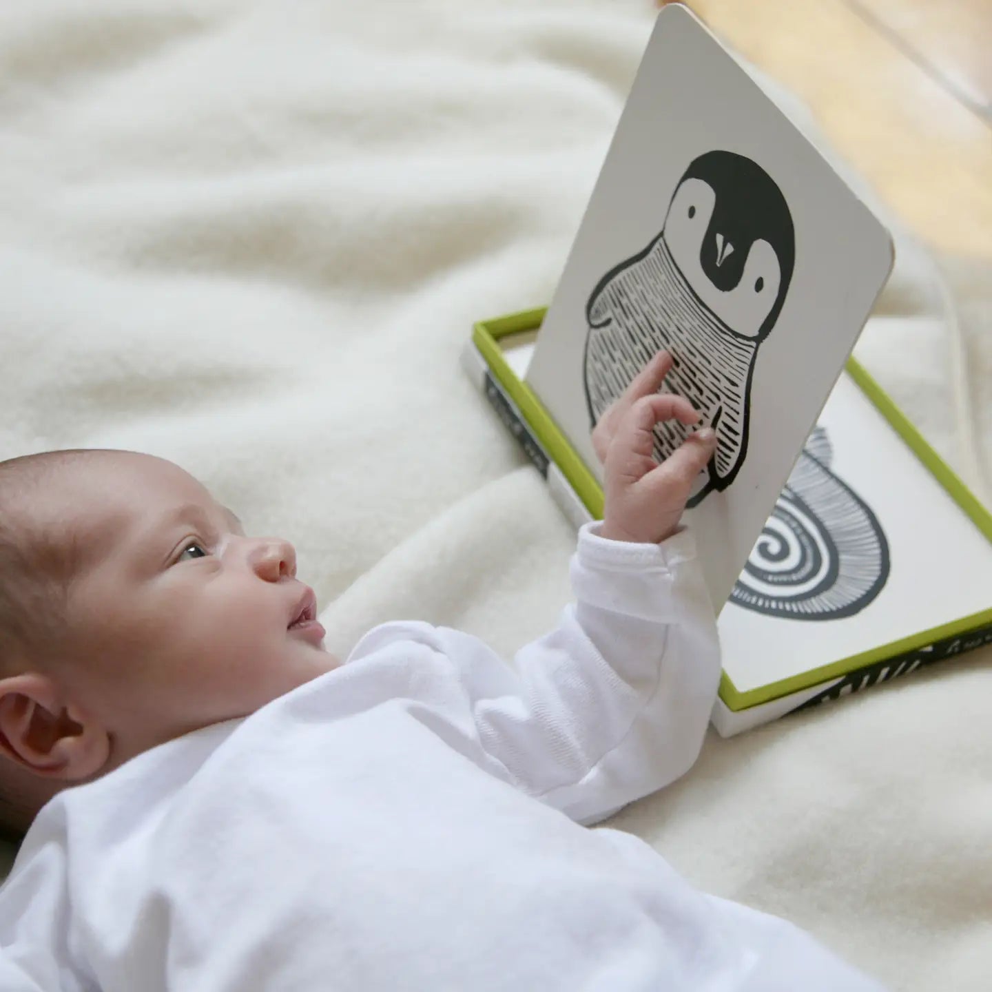 wee gallery Kunstkarten für Babys schwarz-weiße Tiere