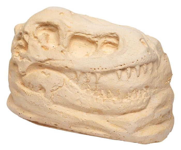 moses Ausgrabungsset T-Rex