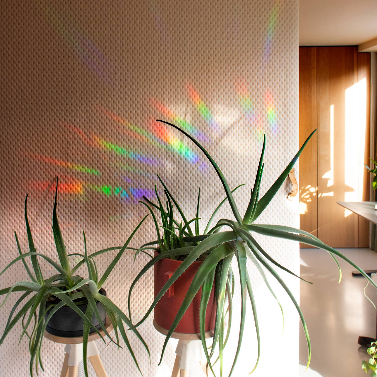 botanopia Regenbogen Aufkleber - Entschleunigen und genießen