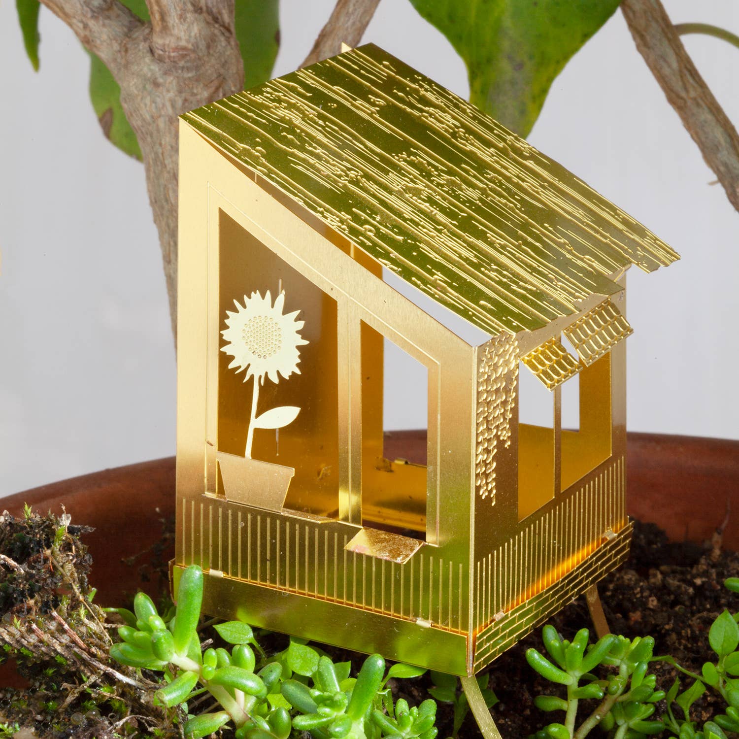 Botanopia Tiny Treehouse – Mini-Baumhaus für deine Pflanzen