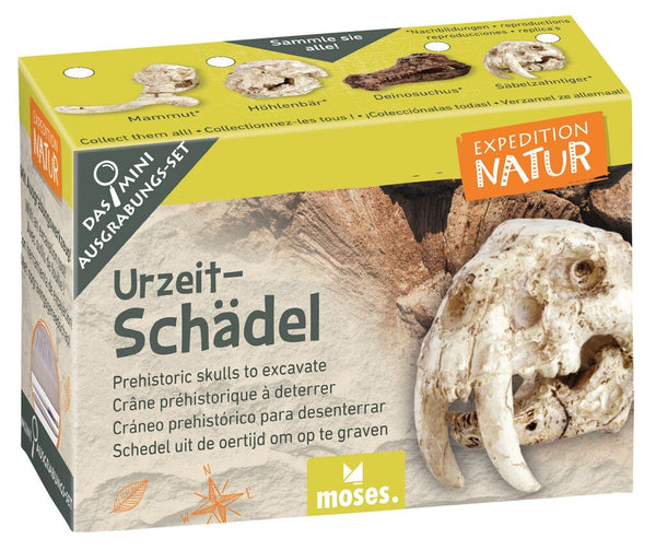 Moses Mini Ausgrabungsset Urzeitschädel