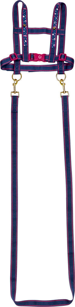 Die Spiegelburg Pferdeleine