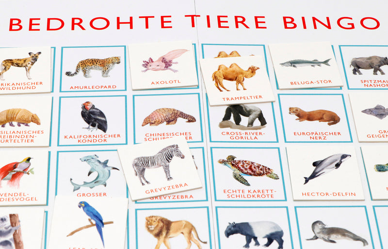 Bedrohte Tiere Bingo