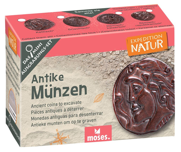 Moses Mini Ausgrabungsset Antike Münzen