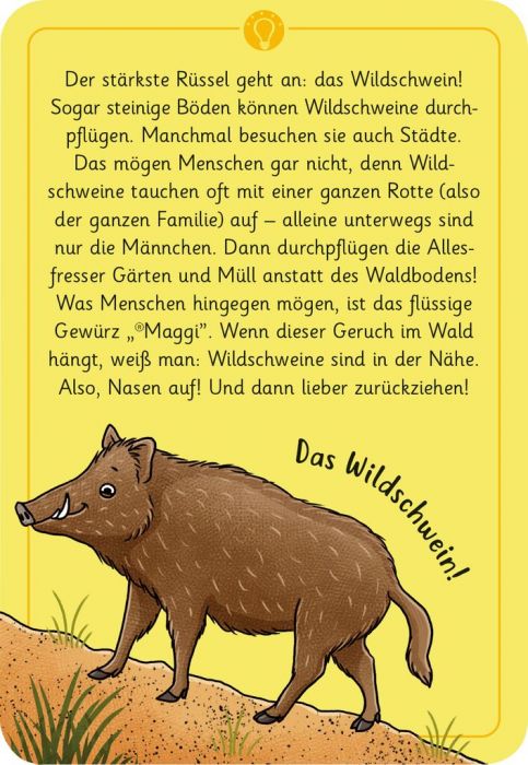 Moses Expedition Natur - 50 wundersame Tierrätsel - Wald