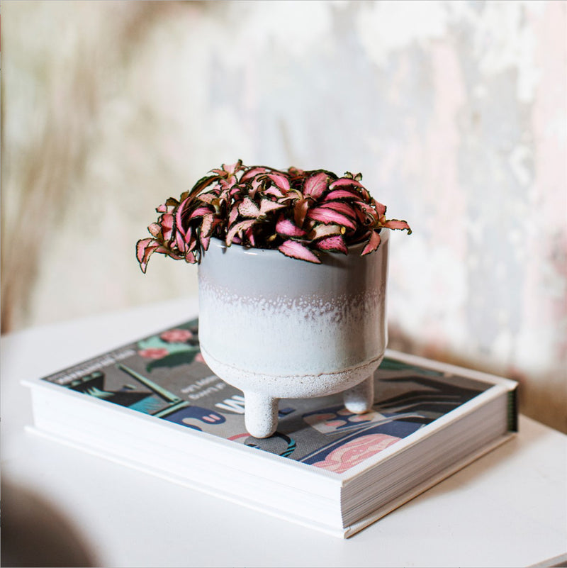 sass & belle Mojave Glaze Grey Planter